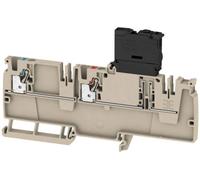 Weidmüller 2460140000 Borne de distribution 6.10 mm ressort de traction beige 50 pc(s)