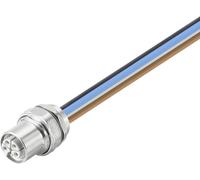 Weidmüller 2625970000 Embase M12 femelle, droit 0.30 m Nombre de pôles: 5 1 pc(s)