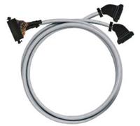 Weidmüller 7789681025 PAC-MIMQ-HE20-V0-2M5 API - Câble de raccordement
