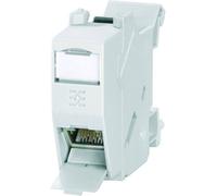 Weidmüller 8808360000 Prise de courant pour rail de montage Profilé support Nombre de pôles: 8P8C 1 pc(s) Piece