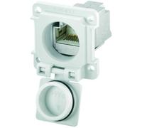 Weidmüller 8808440000 Bride de montage 1 pc(s)