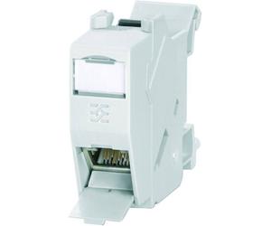 Weidmüller 8879050000 Prise de courant pour rail de montage Profilé support 1 pc(s)