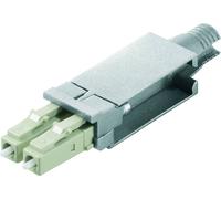 Weidmüller Accessoire de connecteur fibre optique IE-PI-2LC-MM insert