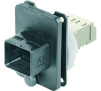 Weidmüller Connecteur fibre optique IE-BS-V04P-LCD-MM-C couplage