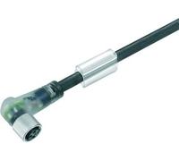 WEIDMÜLLER SAIL-M8BW-3L10U câble de Signal 10 m Noir - Câbles de Signal (10 m, M8, Femelle, Noir, 1 pièce(s), 240 g)