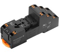 Weidmüller SCM 2CO P Support relais Adapté pour série (relais): Weidmüller série D-sérieS DRM (l x H) 30.6 mm x 101.8 mm 10 pc(s)