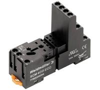 Weidmüller SCM 4CO ECO Support relais Adapté pour série (relais): Weidmüller série D-sérieS DRM (l x H) 27.2 mm x 79.9 mm 10 pc(s)