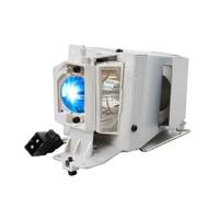 WEIJIAHUIWH Lampe de projecteur BL-FU195A SP.72G01GC01 BL-FU195B OPT-MA S341 DW441 DS349 TW342 DX349 W341 W344 W345 W354 W355 X340 X341 X344 X345(BL-FU195B-CBH)
