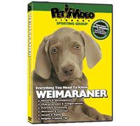 Weimar DVD : + Chien et Chiot d'entraînement Bonus