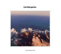 Weingarten - Living in The Distant Present [Import]