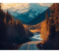 Weiniuniu Canevas Point de Croix Kit Autoroute 11CT Adulte point de croix kit DIY debutant broderie point de croix imprimé 50x70 cm