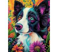 Weiniuniu Canevas Point de Croix Kit Border collie Complet 11CT Adulte point de croix kit DIY debutant broderie point de croix imprimé 40×50 cm