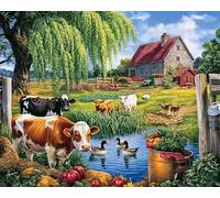 Weiniuniu Canevas Point de Croix Kit Complet animaux de ferme ruraux 11CT Adulte point de croix kit DIY debutant broderie point de croix imprimé 50x70 cm