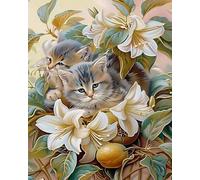 Weiniuniu Canevas Point de Croix Kit Complet Chaton fleur 11CT Adulte point de croix kit DIY debutant broderie point de croix imprimé 50x70 cm