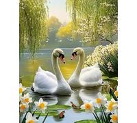 Weiniuniu Canevas Point de Croix Kit Cygne Complet 11CT Adulte point de croix kit DIY debutant broderie point de croix imprimé 50X70 cm