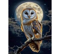 Weiniuniu Canevas Point de Croix Kit Hibou lunaire Complet 11CT Adulte point de croix kit DIY debutant broderie point de croix imprimé 40×50 cm