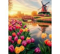 Weiniuniu Canevas Point de Croix Kit Moulin à vent et tulipes 11CT Adulte point de croix kit DIY debutant broderie point de croix imprimé 40x50 cm