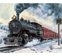 Weiniuniu Canevas Point de Croix Kit Train à vapeur 11CT Adulte point de croix kit DIY debutant broderie point de croix imprimé 50x70 cm