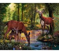 Weiniuniu Kit Broderie Point de Croix DIY Adulte cerf animal de la forêt Kit Canevas Pré Imprimé 11CT gamme complète de kits de démarrage pour débutants 50x70 cm