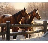 Weiniuniu Kit Broderie Point de Croix DIY Adulte cheval animal Kit Canevas Pré Imprimé 11CT gamme complète de kits de démarrage pour débutants 50x70 cm