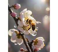 Weiniuniu Kits de Peinture Diamant 5D Abeilles en fleurs de pêcher Full Drill Cristal Strass Images Bricolage Art pour Adultes Enfants Décoration Intérieur 40x50cm
