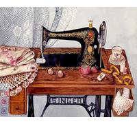 Weiniuniu Kits de Peinture Diamant 5D machine à coudre Full Drill Cristal Strass Images Bricolage Art pour Adultes Enfants Décoration Intérieur 40x50 cm