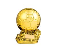 WEIQIAO Réplique du Trophée Ballon d'or en Résine - Personnalisable, Récompense Football Meilleur Joueur & Souvenir Sportif (20CM)