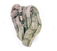 Weird Candle - Regeneration [Vinyl] [Import]