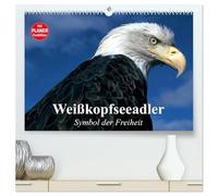 Weißkopfseeadler. Symbol der Freiheit (hochwertiger Premium Wandkalender 2026 DIN A2 quer), Kunstdruck in Hochglanz: Die königlichen Raubvögel und Götterboten aus der Nähe betrachten