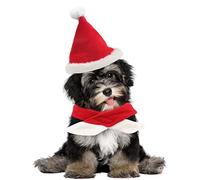 WEITING Écharpe de Noël pour chien avec bonnet de Père Noël | Costume pour Halloween Chat Petit Chien Chapeau de Noël - Ensemble de Noël, chapeau d'anniversaire, ensemble de St Patrick pour chiot,