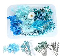 WEIWUXIAN Fleur Sèche Naturelle, 1 Boîte Bouquets Fleurs Séchées, Artisanat Floral, Feuilles Pétales Fleurs Faits Main, pour Résine, Scrapbooking, Fabrication Bijoux Pendentif Artisanat, Bleu