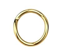 WEJFHBCOV Anneau pénien incurvé en acier inoxydable, anneau for testicules, 4 tailles, poids for scrotum, pendentif SM, jouets sexuels for hommes et couples(Gold,50mm)