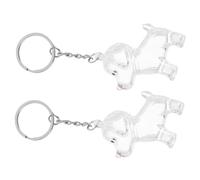 WEKADRIN 2 pièces Porte-clés Chien Porte-Souvenir Transparent pour Poils Animaux Bijou Chien Compact et Léger Accessoire Commémoratif Cadeau Sentimental