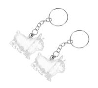 WEKADRIN 2pièces Boîte à Souvenirs pour Animaux Poils de Chat Porte-clés Commémoratif pour Poils Animaux Pendentif Capsule Souvenir