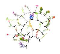 WEKADRIN 30 Pièces Novelty Hair Clips For Women Cute Little Grass Barrette Realistic Plant And Fruit Hairpins Decorative Accessories For Party Cosplay