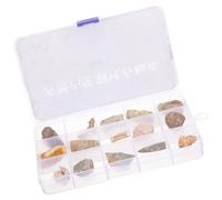 WEKADRIN Fossiles Décoratifs Trilobites et Pierres Naturelles Échantillons Apprentissage pour Enseignement Scientifique Objets Pédagogiques et Décoratifs