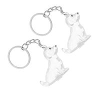 WEKADRIN Porte-Clés Souvenir pour Animaux de Compagnie 2 Pièces - Boîte à Poils de Chien Transparente en ABS Capsule Portable pour Rangement de Poils Accessoire Commémoratif pour Chiens