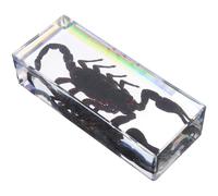 WEKADRIN Presse-papiers Animal Résine Transparente Spécimen Scorpion Réaliste pour Bureau Décoration Maison et Enseignement