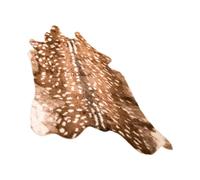 WEKADRIN Tapis Imitation Fourrure Cerf Sika Non Glissant Tapis de Sol Décoratif pour Chambre et Salon Doux et Antidérapant pour Maison et Bureau