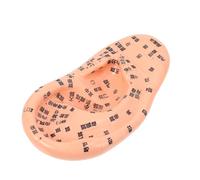 WEKAMOS 1pièce Modèle De Massage Auriculaire Outil Enseignement Des Points Acupuncture Accessoire Pratique Pour Réflexologie Médecine Traditionnelle Chinoise