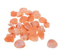 WEKAMOS 30 Pièces remplisseur de Bol côtier Remplissage de pièce maîtresse côtière Petites coquilles en Spirale Petites coquilles décoratives de décoration de jardinière Orange