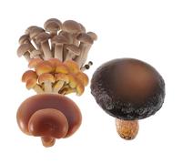 WEKAMOS 4 pièces Modèle Éducatif de Cycle de Vie des Champignons Jouets Interactifs PVC pour Garçon Fille Figurines Réalistes de des Champignons