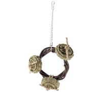 WEKAMOS Mâcher pour Hamster et Cochon D’Inde, Composé de Cercle en Branche de Pomme et 3 Galettes de Foin Naturelles, Accessoires pour Petits Animaux, Favorise la Santé Dentaire et Réduit