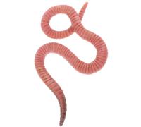 WEKAMOS Modèle Réaliste de Ver de Terre en Plastique Solide Éducatif D’Insecte Simulé pour Garçon et Filles Décoration Scientifique et Ludique Figurine D’Animal Factice pour Bureau et