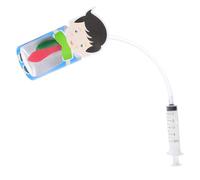 WEKAMOS Modèle Respiration Pulmonaire Éducatif avec Mouvement Diaphragmatique Kit Expérimental Interactif pour Étudiants Outil Pédagogique Polyvalent pour Cours de Sciences et Recherche