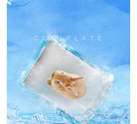WEKAMOS Tapis Rafraîchissant pour Lapins Et Hamsters, Plaque Réfrigérante en Matériau Solide, Dimensions 30 x 20 Cm, Usage Estival pour Petits Animaux, Adapté à Lapins Et Cochons D’Inde