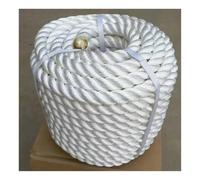 WEKONUMEX Amarres, Lignes de Quai en Nylon de qualité Marine, 1 Pouce, Trois brins tressés for l'amarrage et l'amarrage de Plusieurs Tailles(10m/32.8')