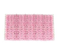 WEKONUMEX Rouleau de haie Artificielle, Écran de Lierre Artificiel Multicolore, Plusieurs Tailles(Unter Euch 1*unkel)