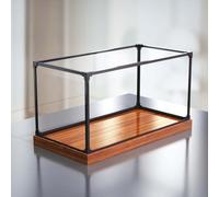 WEKONUMEX Vitrine en Acrylique, Vitrines acryliques empilables avec des Tailles Multiples Basses en Bois(60x20x20cm(24x8x8in))