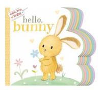 Welcome Baby Hello Bunny by Illustrated by Dubravka Kolanovic Illustrated by Dubravka Kolanovic (Auteur)